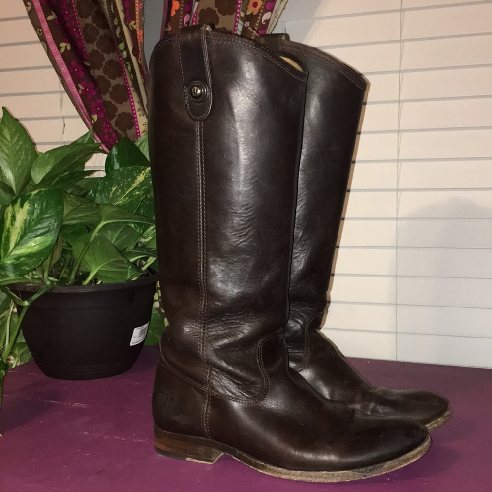 Frye Boots